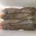 龙利鱼龙舌鱼比目鱼