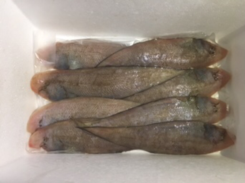 龙利鱼龙舌鱼比目鱼