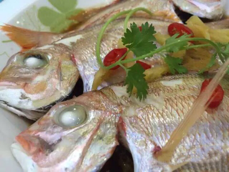 冻赤棕鱼，红立鱼，红雕鱼来自大海的美味