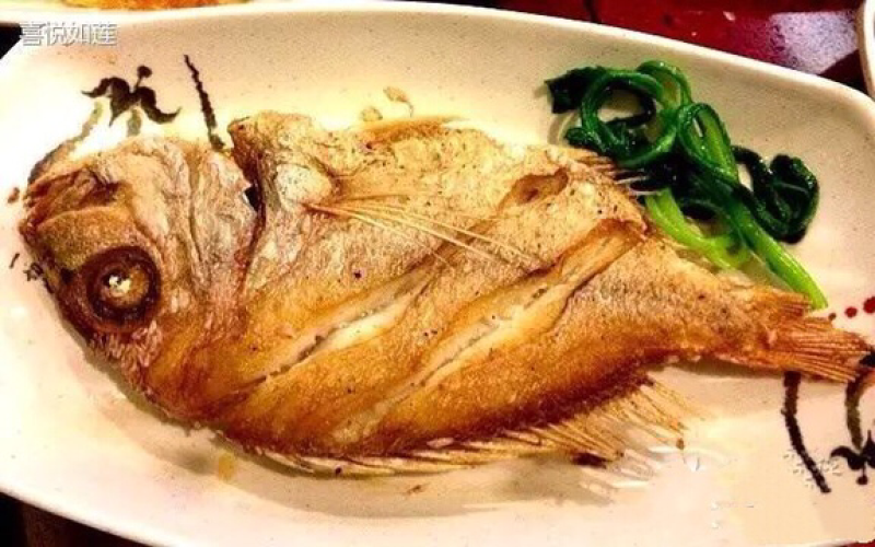 冻赤棕鱼，红立鱼，红雕鱼来自大海的美味