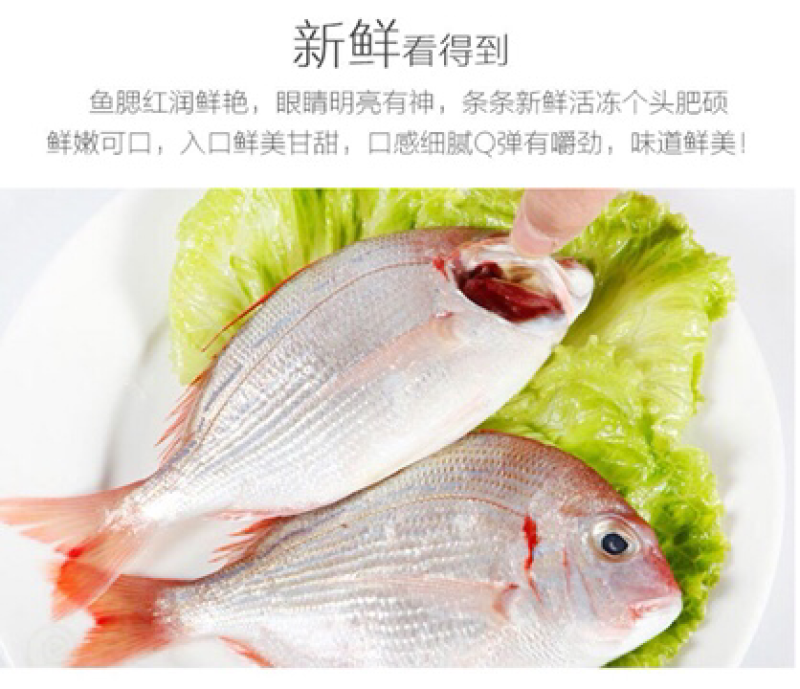 冻赤棕鱼，红立鱼，红雕鱼来自大海的美味