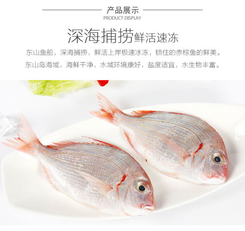 冻赤棕鱼，红立鱼，红雕鱼来自大海的美味