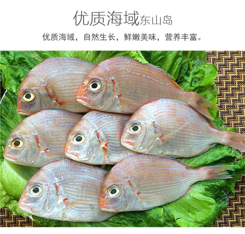 冻赤棕鱼，红立鱼，红雕鱼来自大海的美味