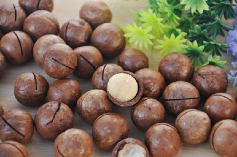 夏威夷果包邮净重10斤