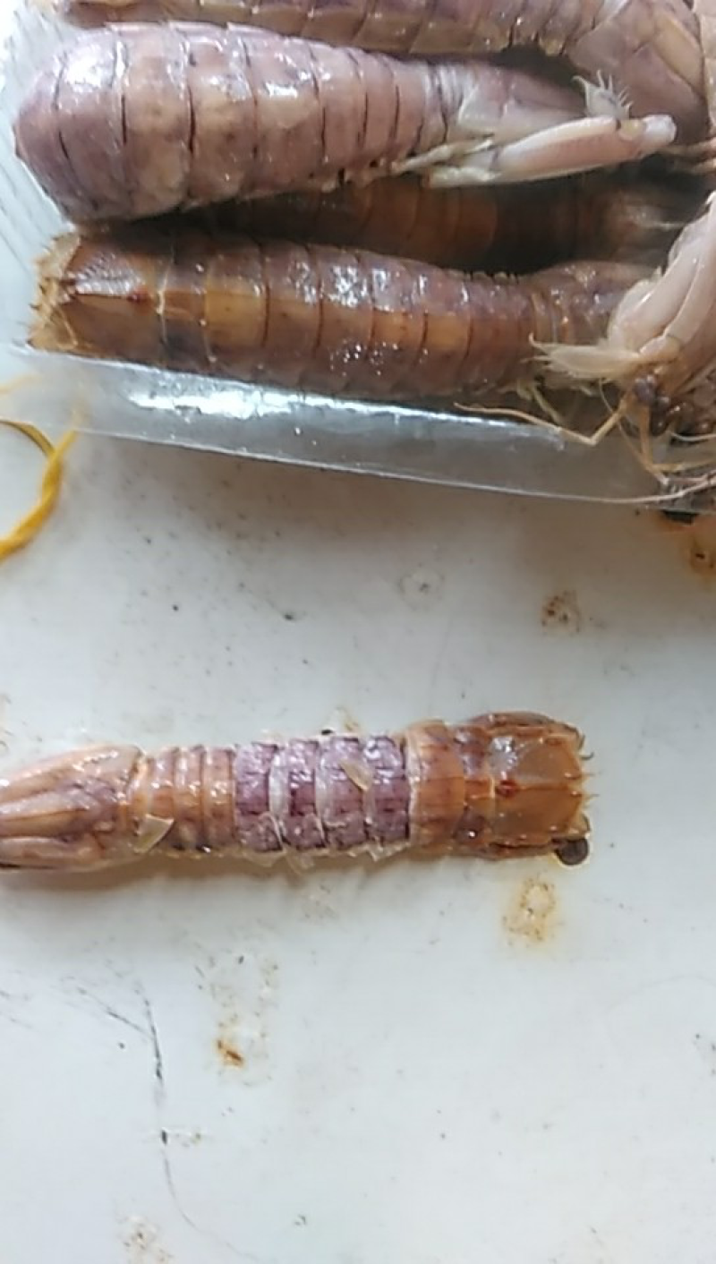 皮皮虾赖尿虾