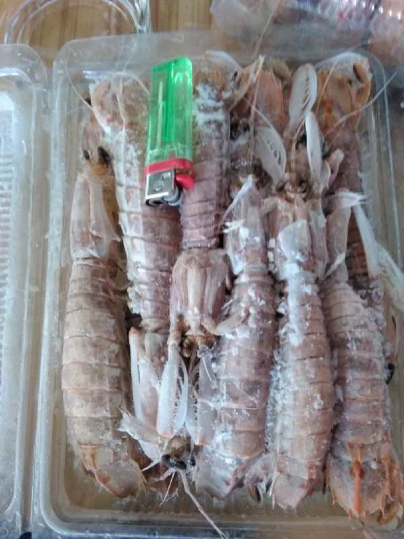 皮皮虾赖尿虾
