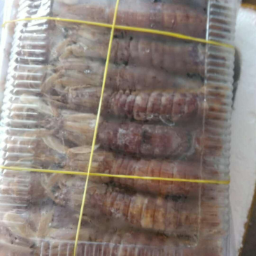 皮皮虾赖尿虾