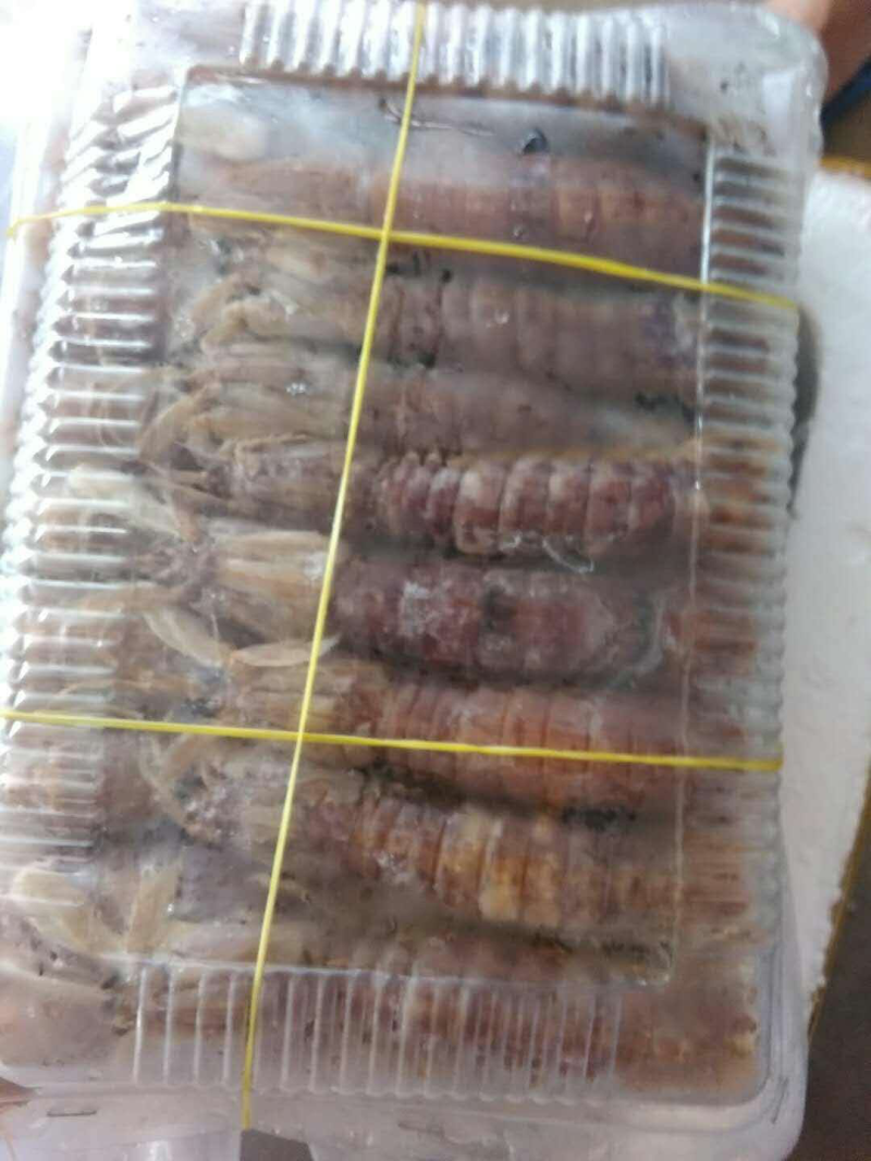 皮皮虾赖尿虾