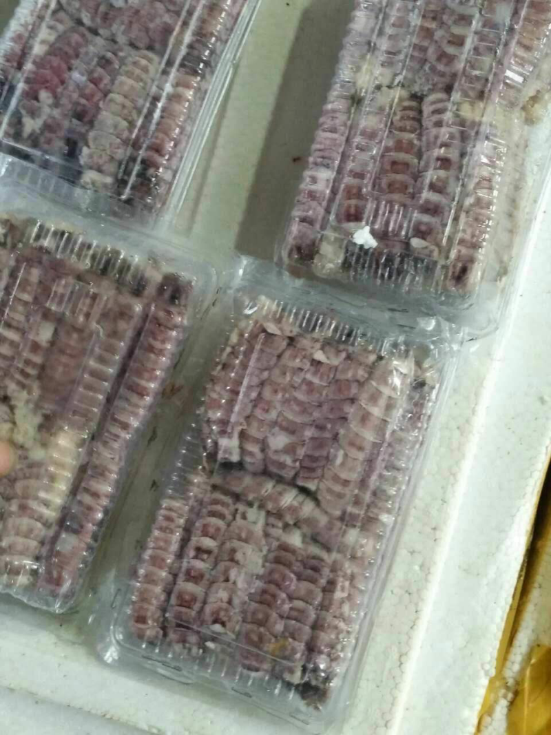 皮皮虾赖尿虾