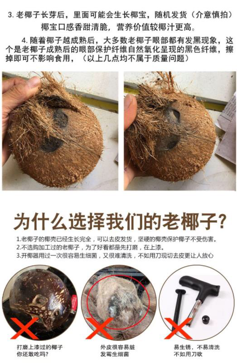 海南老椰子毛椰子精选2个装