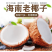 海南老椰子毛椰子精选2个装