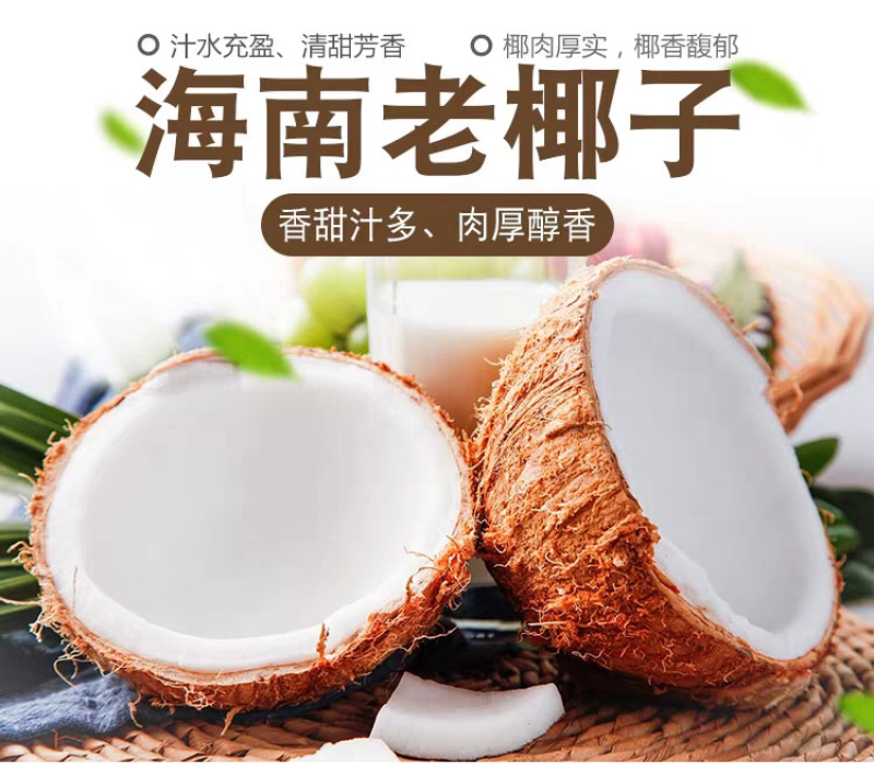 海南老椰子毛椰子精选4个装