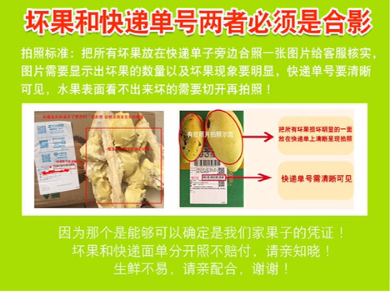 海南老椰子毛椰子精选4个装