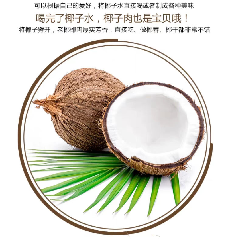 海南老椰子毛椰子精选4个装