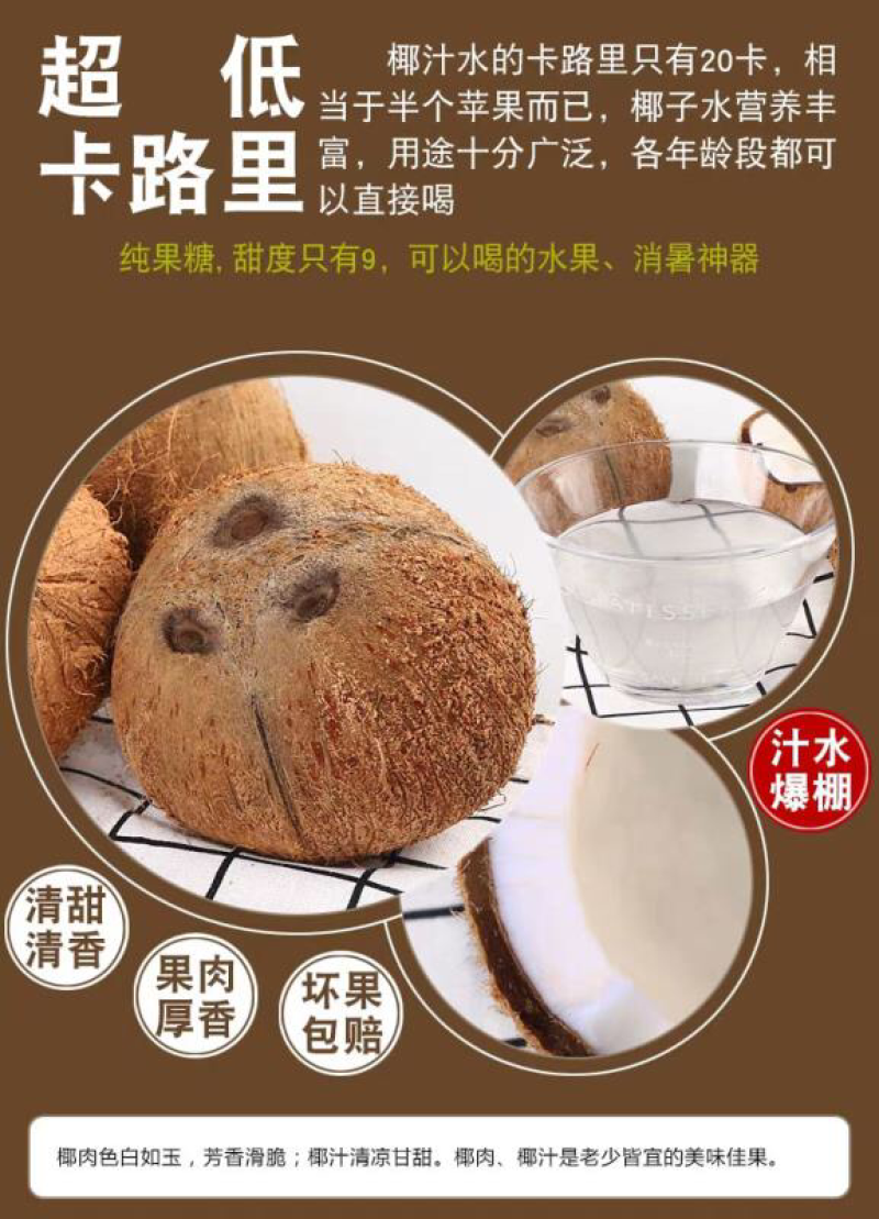 海南老椰子毛椰子精选4个装