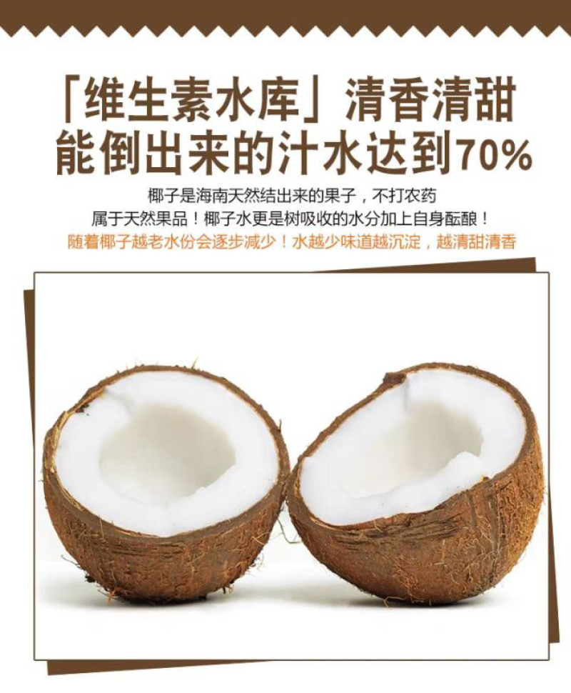 海南老椰子毛椰子精选4个装