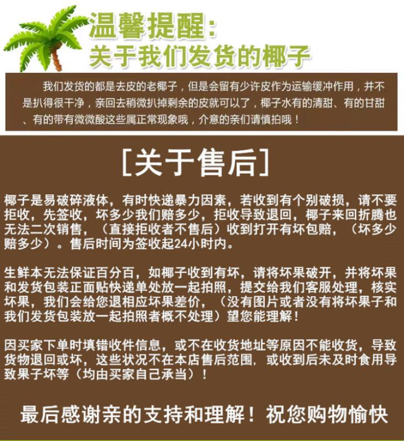 海南老椰子毛椰子精选4个装
