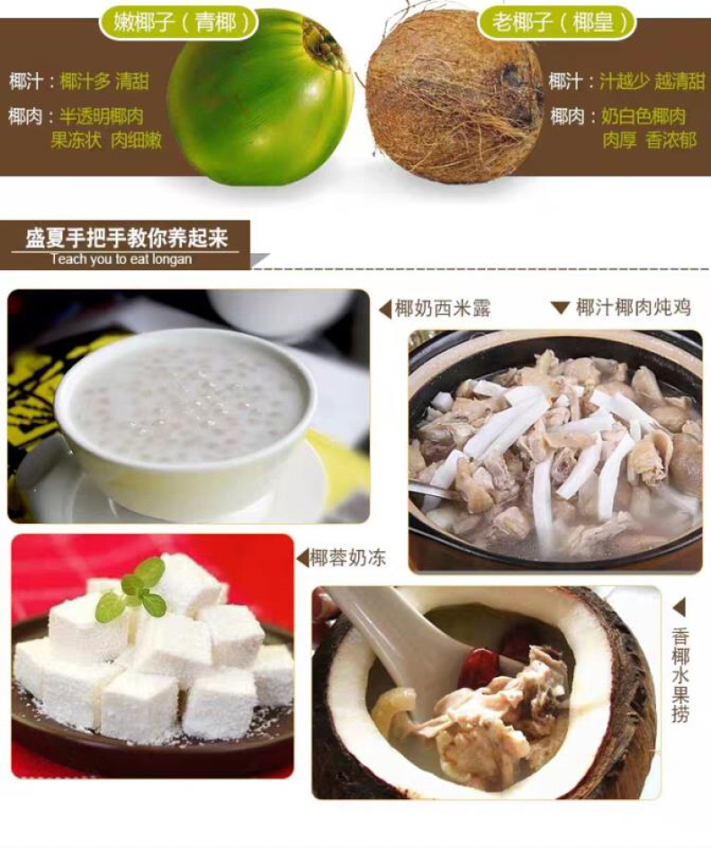 海南老椰子毛椰子精选6个装