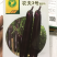 烧烤中茄高温不变色紫红长茄农夫3号1000粒