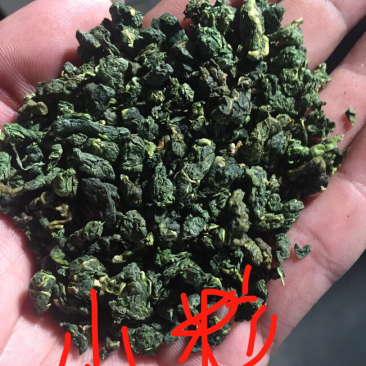 桑叶茶，颗粒，产地批发