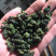 桑叶茶，颗粒，产地批发