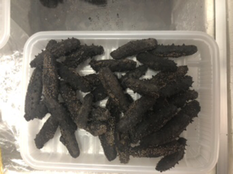 长岛海参，辽参批发，礼品盒，零卖，保证质量