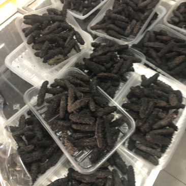 长岛海参，辽参批发，礼品盒，零卖，保证质量