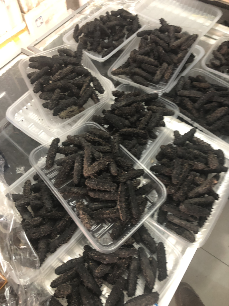 长岛海参，辽参批发，礼品盒，零卖，保证质量