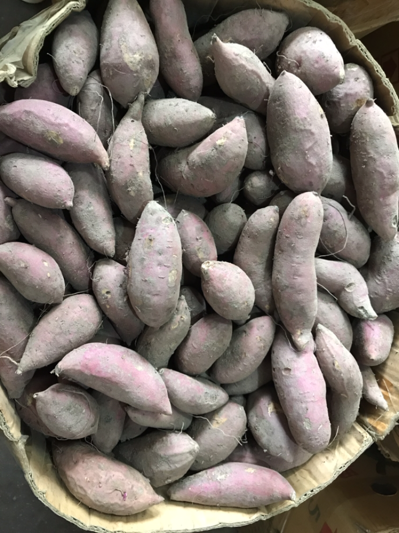 粉嫩甜薯