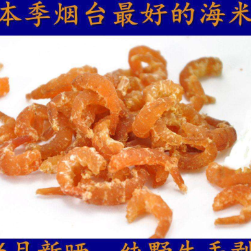 烟台本季最好海米，活虾晾晒，金钩海米