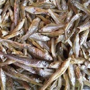 烟台小海燕鱼干，淡干，自家晾晒一件1斤