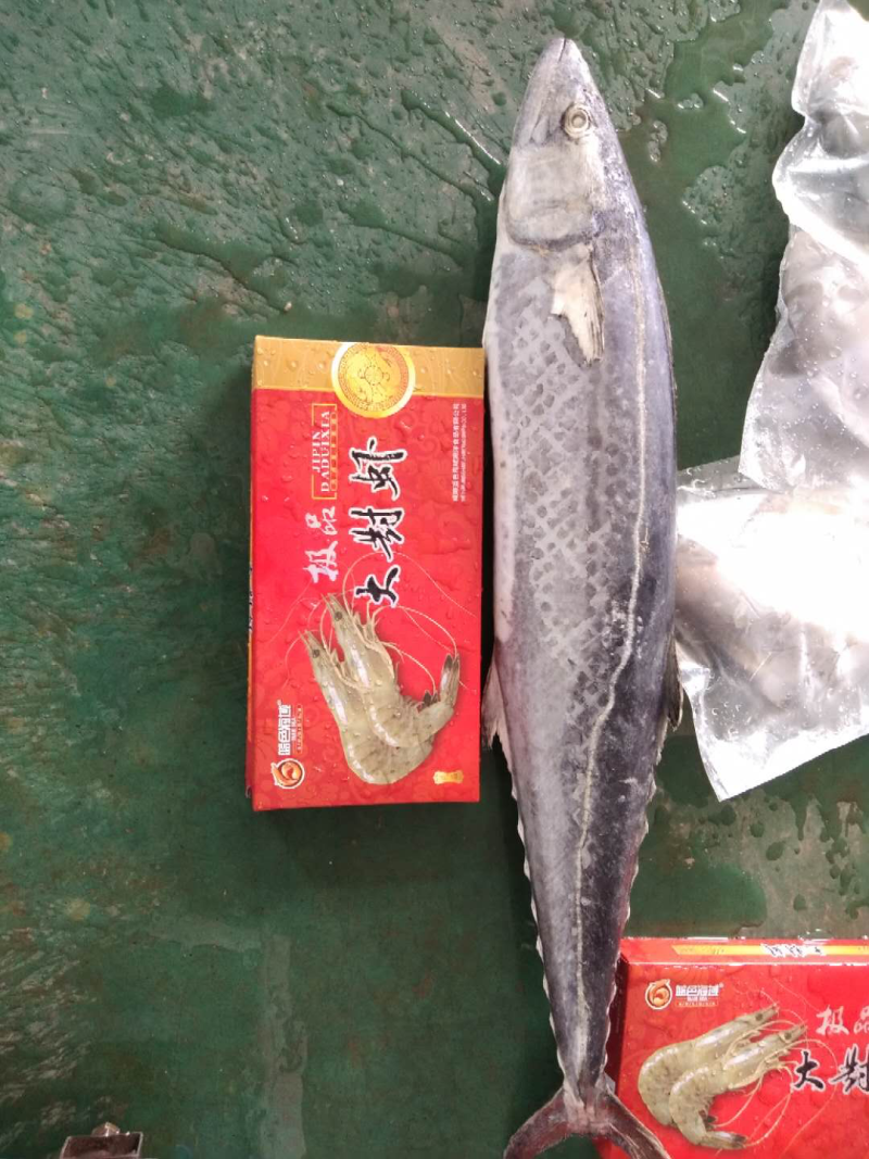 大鲅鱼4-6斤一条