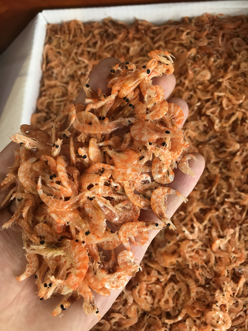 南极红鳞虾皮，一件起批，淡干靓，味道棒