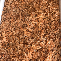 南极红鳞虾皮，一件起批，淡干靓，味道棒