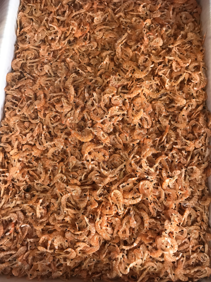 南极红鳞虾皮，一件起批，淡干靓，味道棒