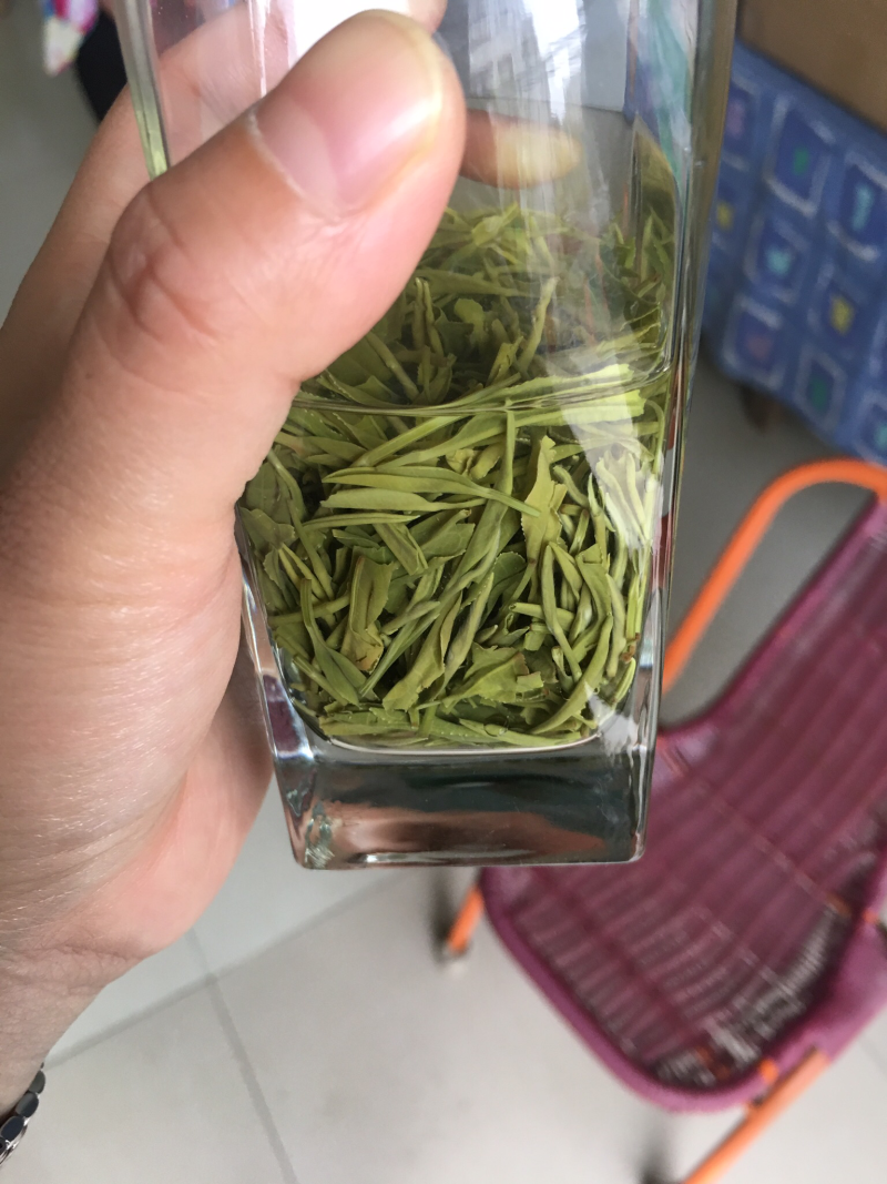 毛尖茶