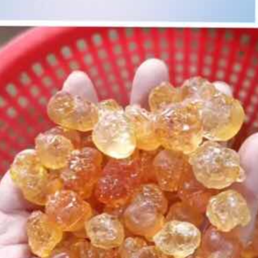 精品精修桃胶，简修，水洗颗粒大量批发，量大从优