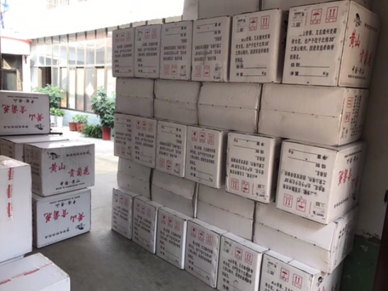 白菊花茶菊花茶七月菊去火茶2023年新花