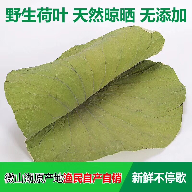 荷叶2025新山东微山湖区荷叶整张荷叶包糯米鸡