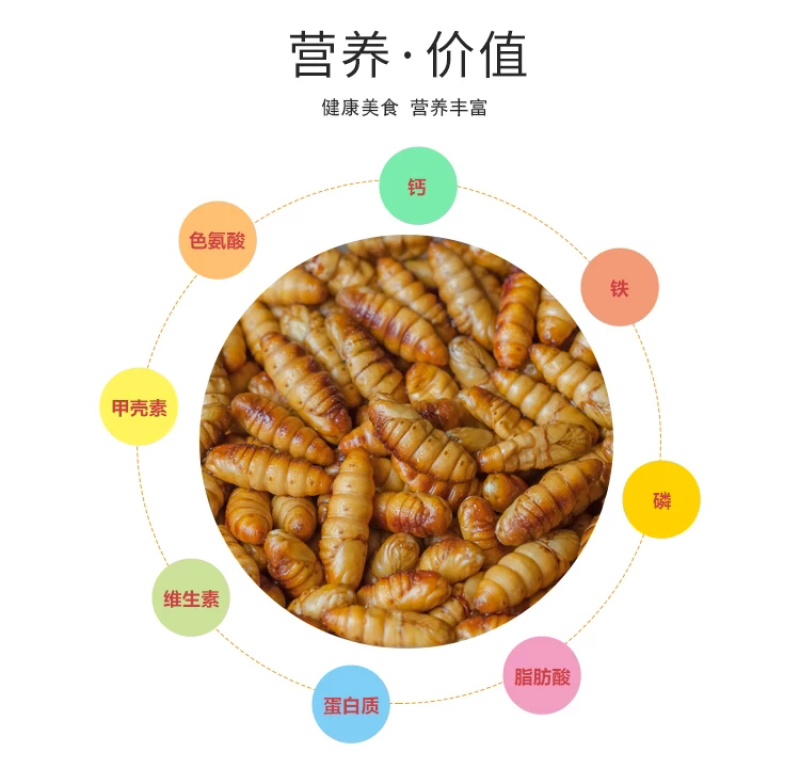 蚕蛹