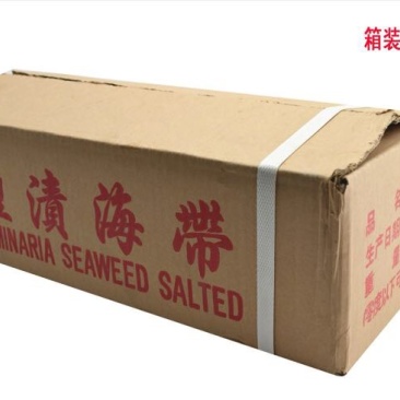 海带湿
