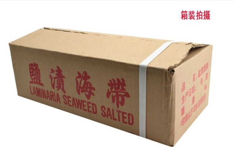 海带湿