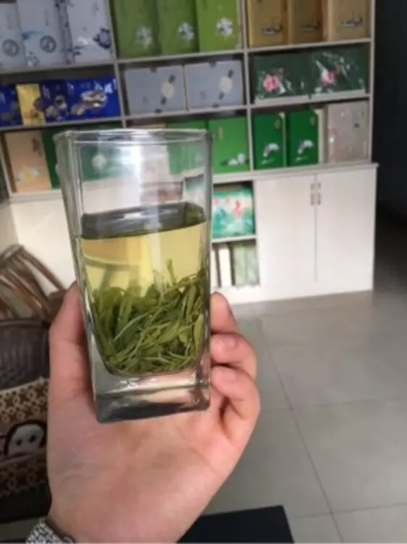 春毛尖