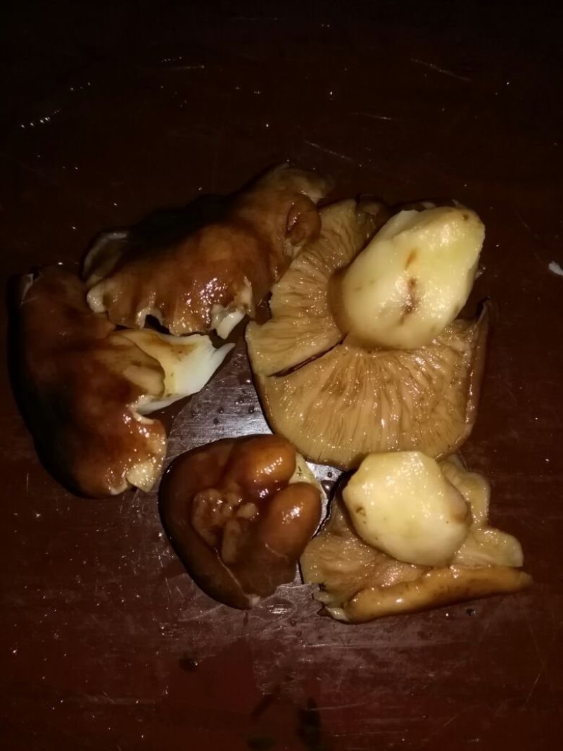 野生菌一级