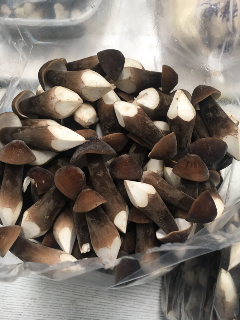 鸡枞菌长年供应
