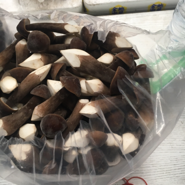 鸡枞菌长年供应