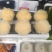 牛肝菌，松茸，鸡枞菌，银耳，猴头菇，