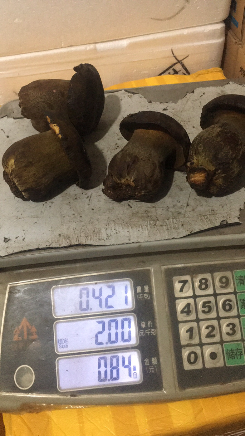 牛肝菌，松茸，鸡枞菌，银耳，猴头菇，