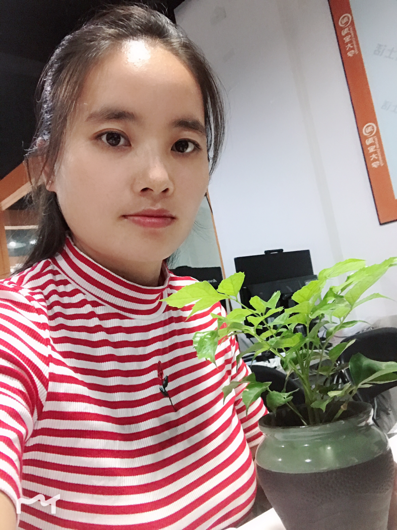 优质新品种绿宝幸福树苗，新项目，新商机，欢迎咨询