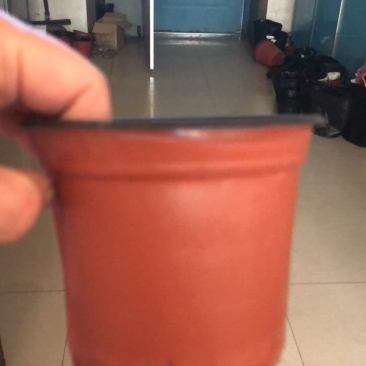双色花盆120
